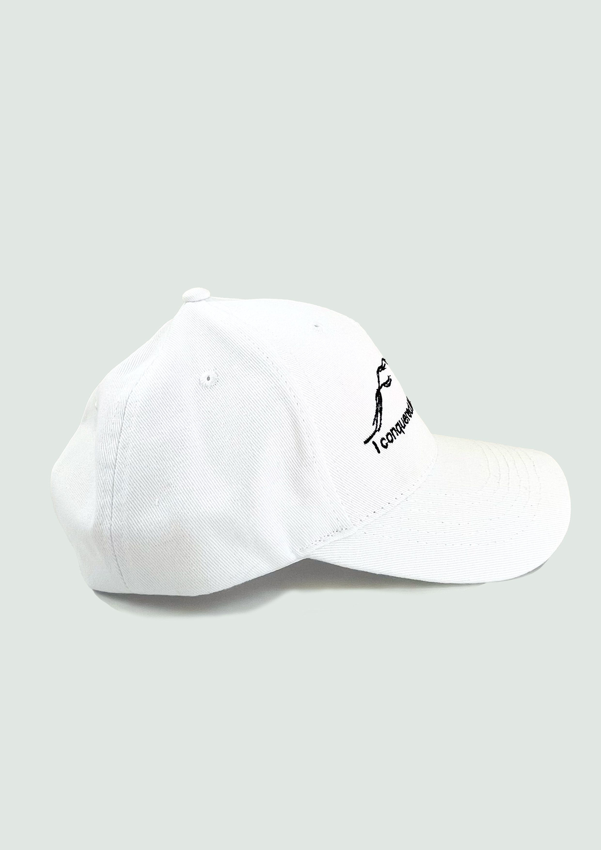 White hat 2